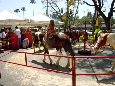 children get to ride real ponies on the merry-go-round