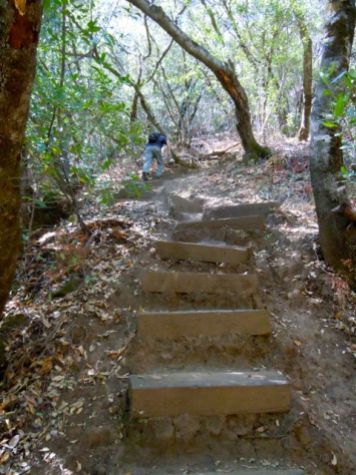 steep stairs up to the Blue-ridge trail